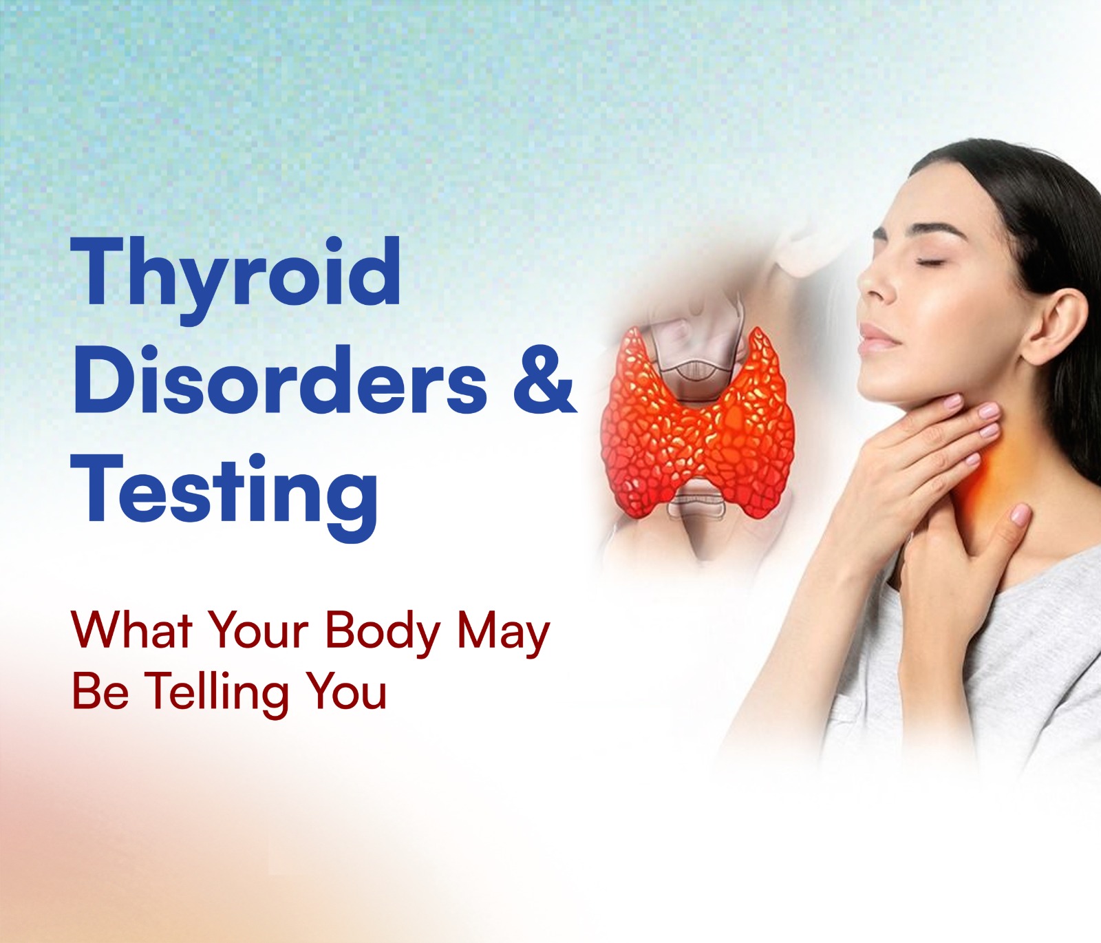 Thyroid Disorders: Symptoms, Diagnosis, and Thyroid Tests